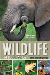Book cover of Wildlife of South Africa by Duncan Butchart