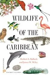 Book cover of Wildlife of the Caribbean by Herbert A. Raffaele