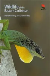 Book cover of Wildlife of the Eastern Caribbean by Steve Holliday