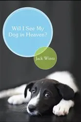 Book cover of Will I See My Dog In Heaven by Friar Jack Wintz