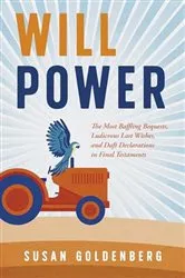 Book cover of Will Power by Susan Goldenberg