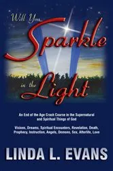 Book cover of Will You Sparkle in the Light by Linda L. Evans