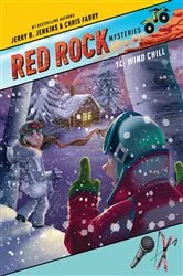 Book cover of Wind Chill by Jerry B. Jenkins