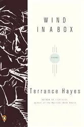 Book cover of Wind in a Box by Terrance Hayes