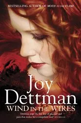 Book cover of Wind in the Wires: A Woody Creek Novel 4 by Joy Dettman