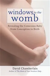 Book cover of Windows to the Womb by David Chamberlain