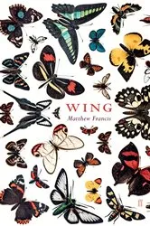 Book cover of Wing by Matthew Francis