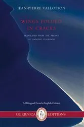 Book cover of Wings Folded in Cracks by Jean-Pierre Vallotton