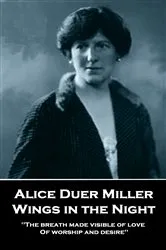 Book cover of Wings in the Night by Alice Duer Miller