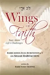 Book cover of Wings of Faith: Soar Above Life's Challenges by Yosef Tropper