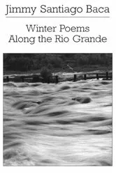 Book cover of Winter Poems Along the Rio Grande by Jimmy Santiago Baca