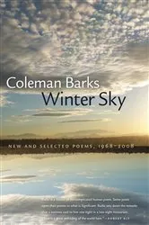 Book cover of Winter Sky by Patricia Reilly Giff