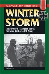 Book cover of Winter Storm by Hans Wijers