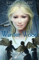 Book cover of Winter Wood by Steve Augarde