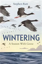Book cover of Wintering by Kate Moses