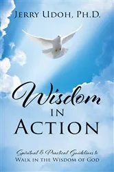 Book cover of Wisdom in Action by Udoh Jerry
