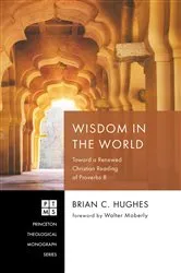 Book cover of Wisdom in the World by Brian C. Hughes