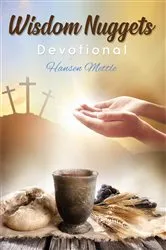 Book cover of Wisdom Nuggets by Hansen Mettle