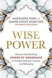 Book cover of Wise Power by Unknown