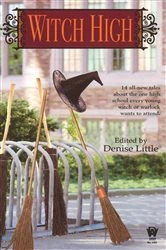 Book cover of Witch High by Denise Little