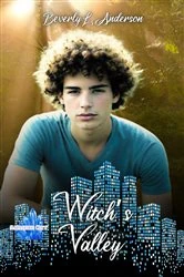 Book cover of Witch's Valley by Beverly L. Anderson
