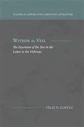 Book cover of Within the Veil by Pamela Newkirk