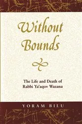 Book cover of Without Bounds by Yoram Bilu