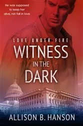 Book cover of Witness in the Dark by Allison B. Hanson