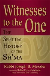 Book cover of Witnesses to the One by Rabbi Joseph B. Meszler