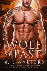 Book cover of Wolf from the Past by N.J. Walters