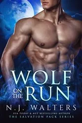 Book cover of Wolf on the Run by N.J. Walters