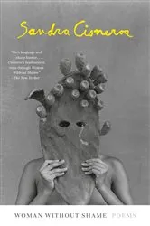 Book cover of Woman Without Shame by Sandra Cisneros