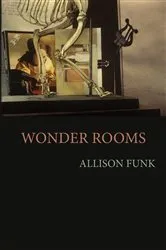Book cover of Wonder Rooms by Allison Funk