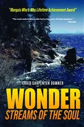 Book cover of Wonder Streams of the Soul by Craig Carpenter Downer