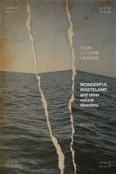Book cover of Wonderful Wasteland and other natural disasters by Elidio La Torre Lagares