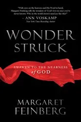 Book cover of Wonderstruck by Allie Therin