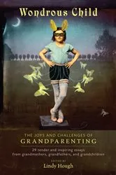 Book cover of Wondrous Child by Lindy Hough