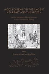 Book cover of Wool Economy in the Ancient Near East by Catherine Breniquet