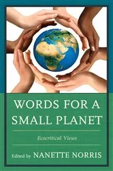 Book cover of Words for a Small Planet by Nanette Norris