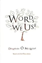 Book cover of Words We Use by Diarmaid Ó Muirithe