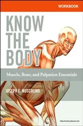 Book cover of Workbook for Know the Body: Muscle, Bone, and Palpation Essentials by Joseph E. Muscolino DC