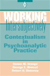 Book cover of Working Intersubjectively by Donna M. Orange