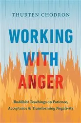 Book cover of Working with Anger by Peter Cummins