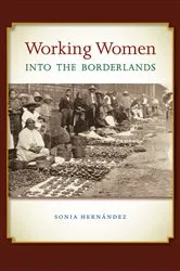 Book cover of Working Women into the Borderlands by Sonia Hernández