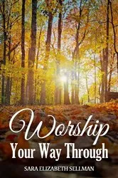 Book cover of Worship Your Way Through by Sara Elizabeth Sellman