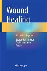 Book cover of Wound Healing by George-Sorin Tiplica