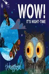 Book cover of WOW! It's Night-time by Tim Hopgood