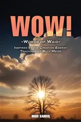Book cover of WOW: Words Of Waid by Waid Sainvil