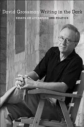 Book cover of Writing in the Dark by David Grossman
