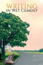 Book cover of Writing in Wet Cement by Jayne Lisbeth